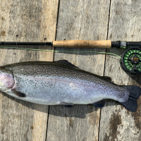 Fiske-böjen 